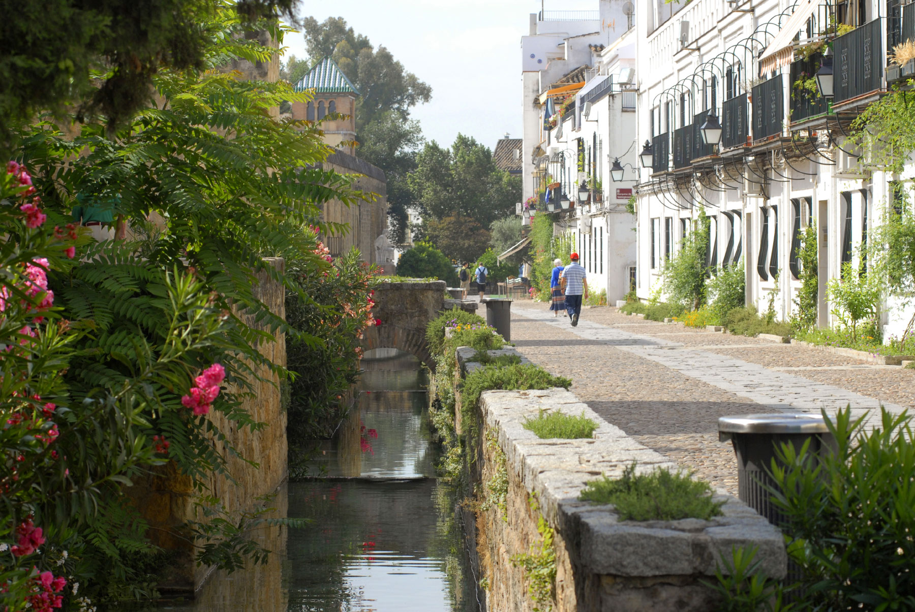 Cordoba